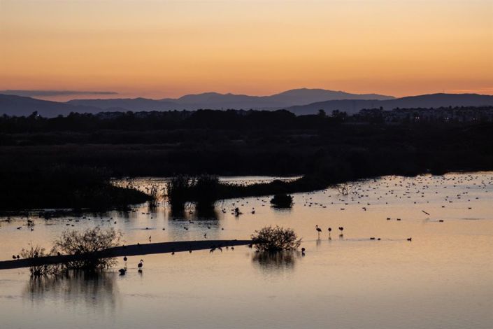 Image No.10-Villa de 4 chambres à vendre à Vera