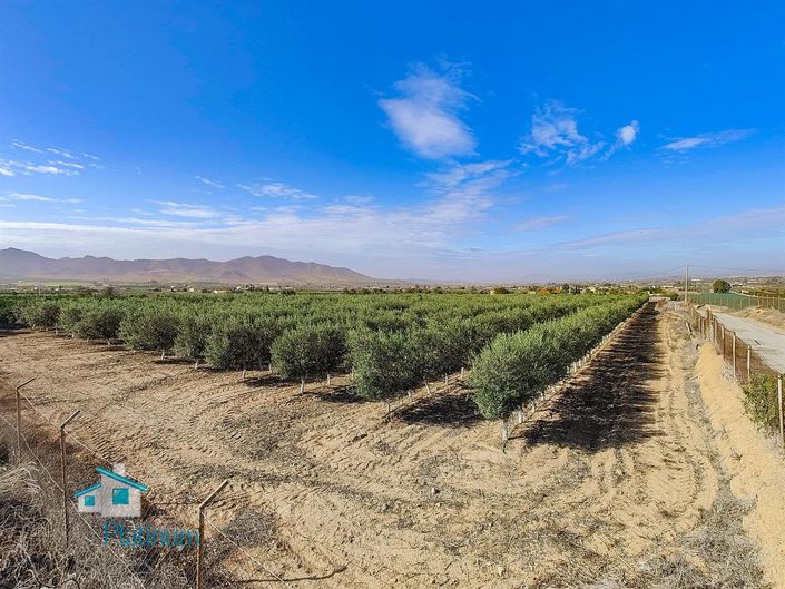 Image No.14-Villa de 2 chambres à vendre à Huercal-Overa
