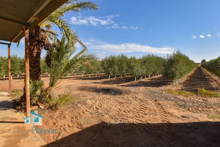 Image No.2-Villa de 2 chambres à vendre à Huercal-Overa