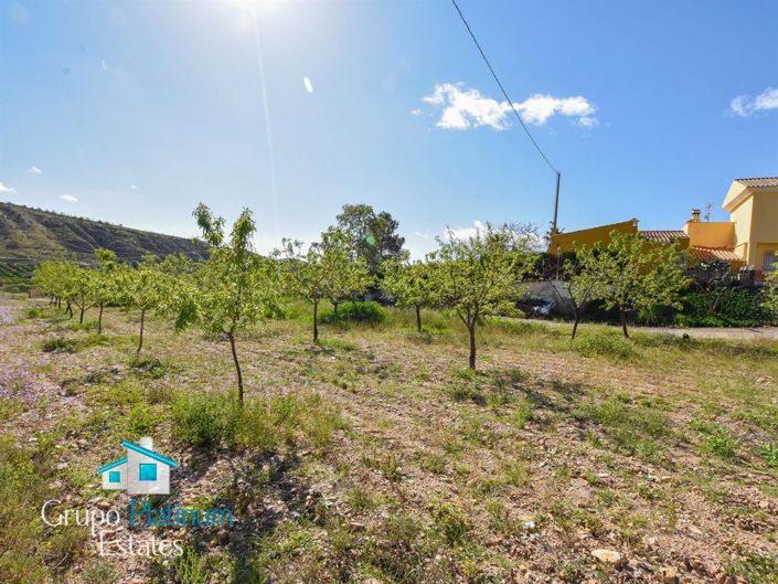 Image No.3-Villa de 3 chambres à vendre à Almeria