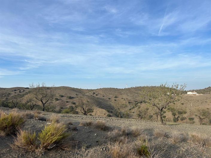 Image No.11-Propriété à vendre à Almeria