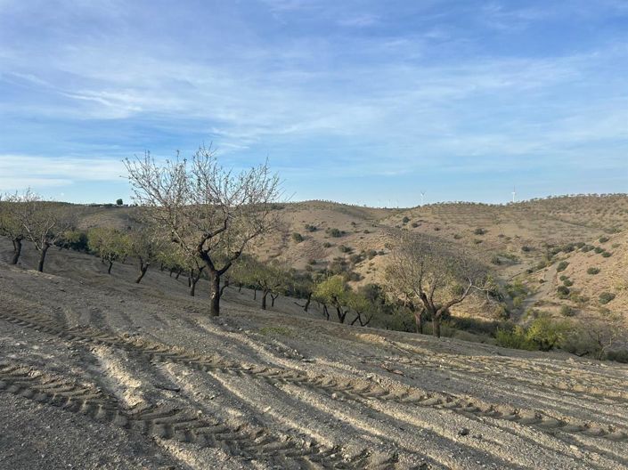 Image No.12-Propriété à vendre à Almeria