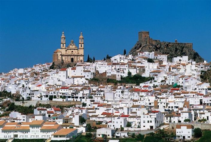 Image No.23-1 Bed Apartment for sale