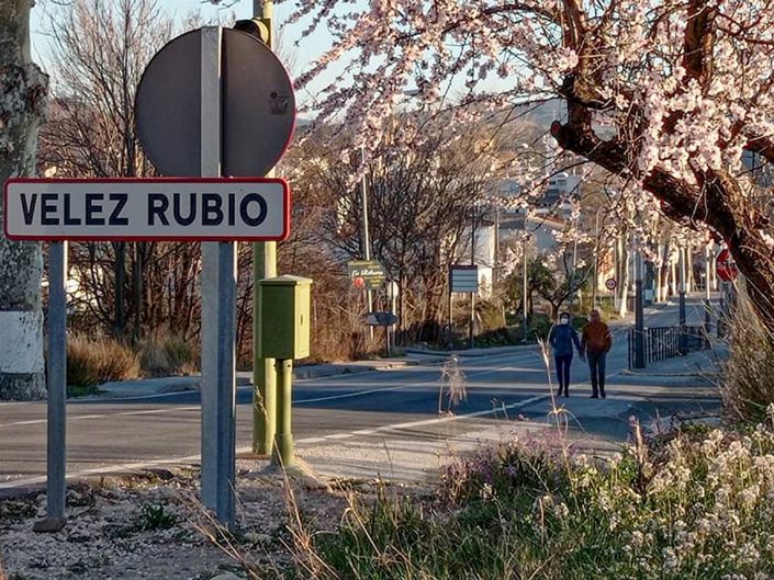 Image No.39-Propriété de 6 chambres à vendre à Velez-Rubio