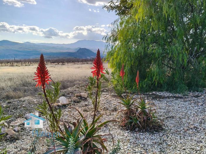 Image No.24-3 Bed Villa for sale