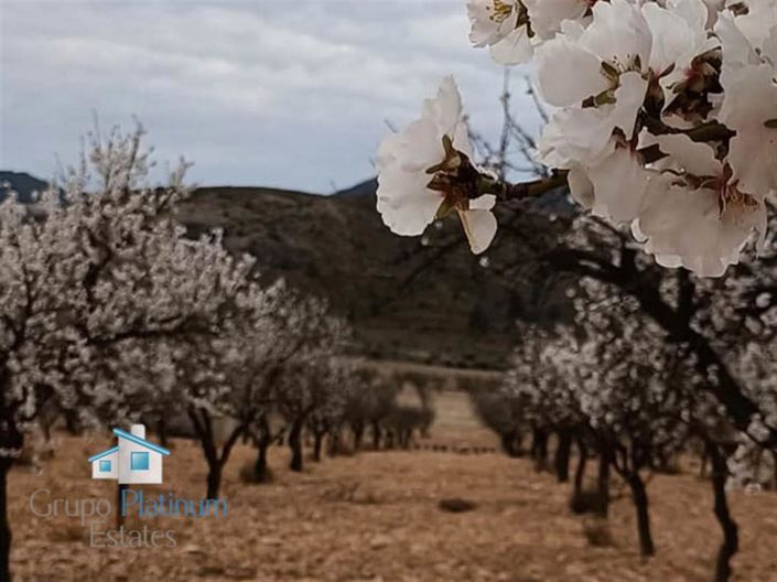 Image No.35-3 Bed Villa for sale