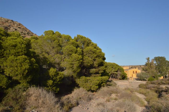 Image No.37-3 Bed Villa for sale