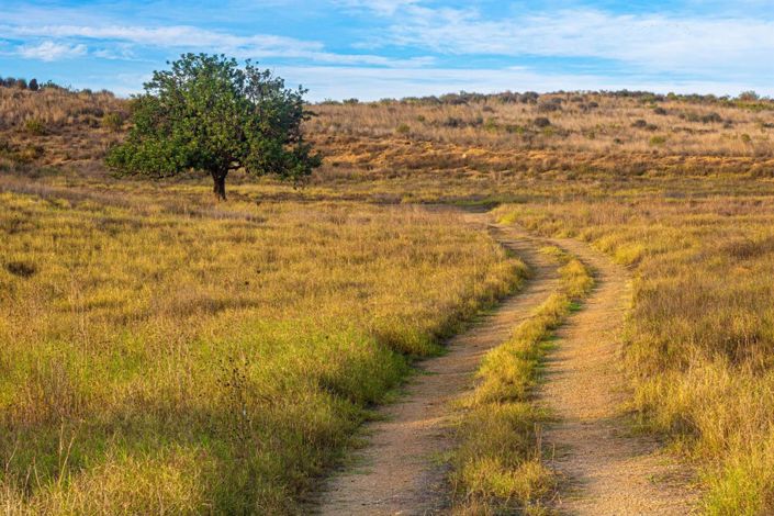 Image No.11-Villa de 3 chambres à vendre à Alhama de Murcia