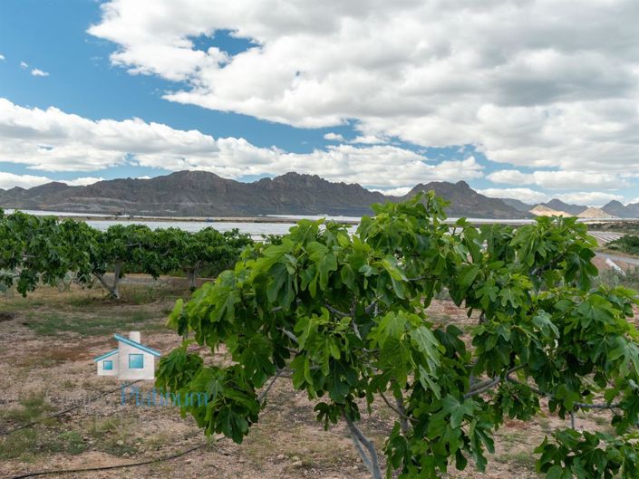 Image No.33-4 Bed Property for sale