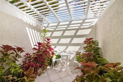 psc121-octopus-sitting-garden-area