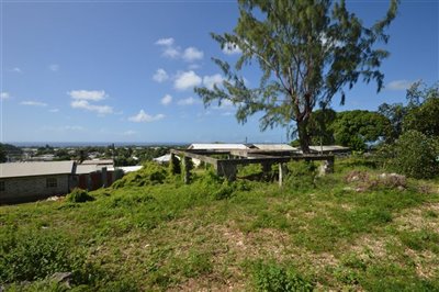 7990-dsc0471