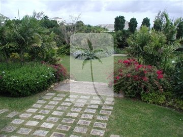 8249-127lrgpalmgrovesept04013