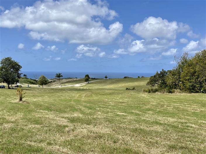 Image No.3-Propriété à vendre à St James