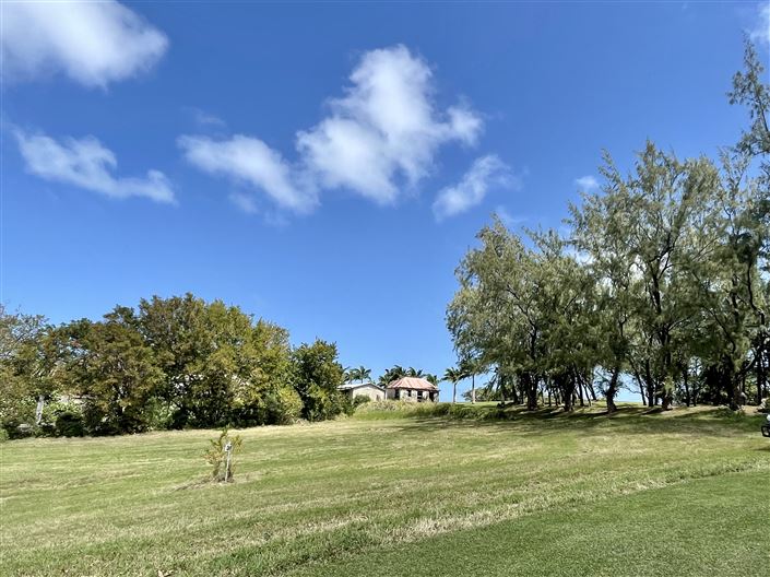 Image No.5-Propriété à vendre à St James