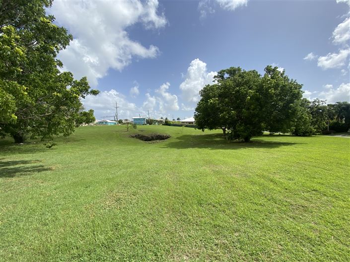 Image No.4-Propriété à vendre à St James