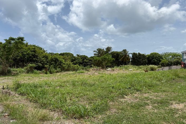 Image No.7-Propriété à vendre à St Thomas