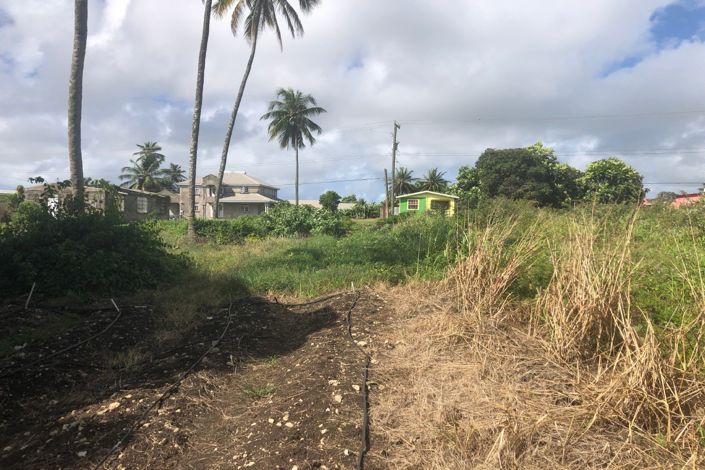 Image No.2-Propriété à vendre à St John