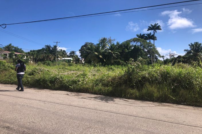 Image No.3-Propriété à vendre à St John