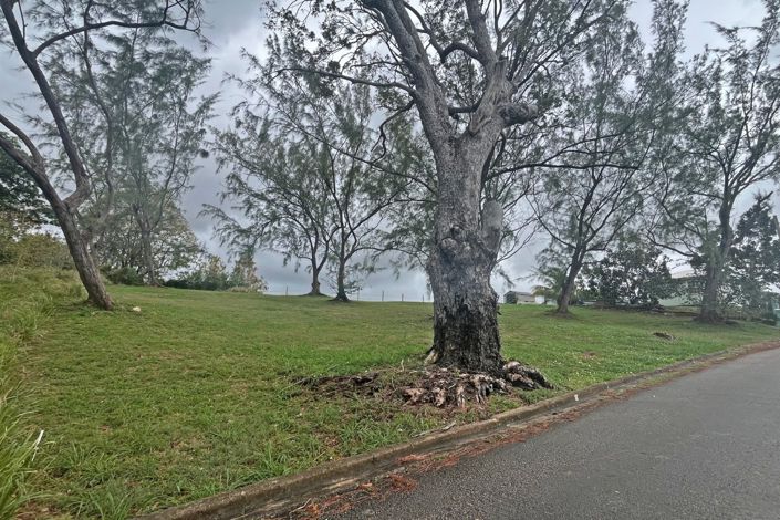 Image No.4-Property for sale