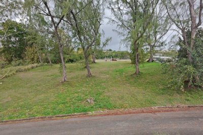 brighton-close-4-horses-5