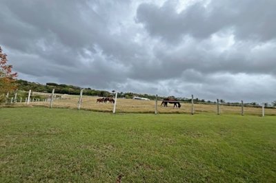 brighton-4-horse-ranch-6