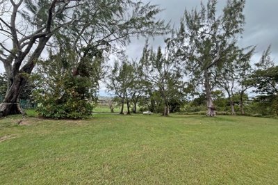 brighton-close-4-ridgetop-8