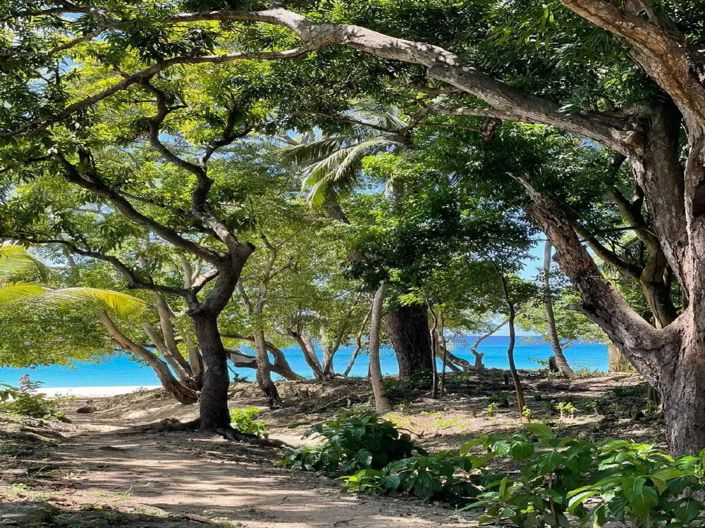 Image No.17-Appartement de 2 chambres à vendre à St James