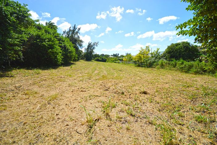 Image No.10-Propriété à vendre à St James