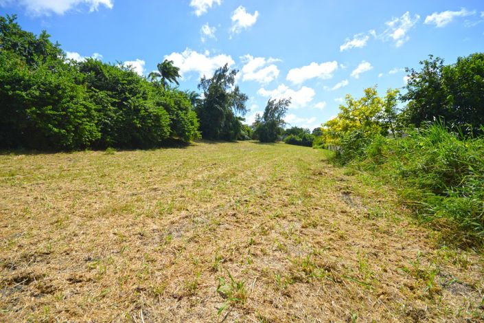 Image No.11-Propriété à vendre à St James