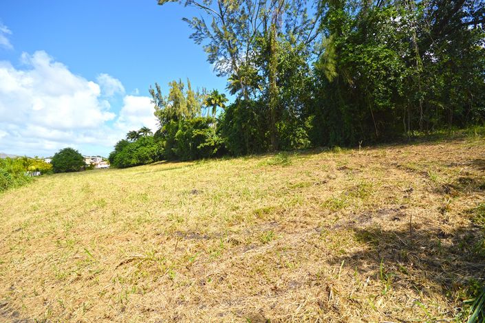 Image No.5-Propriété à vendre à St James