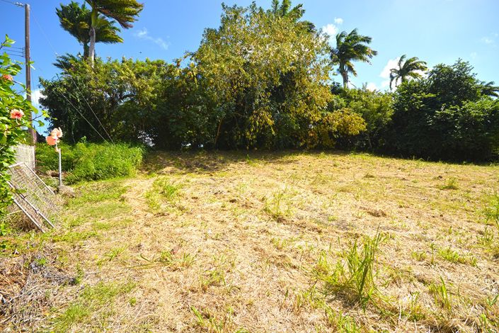 Image No.7-Propriété à vendre à St James