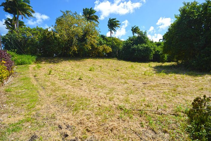 Image No.8-Propriété à vendre à St James