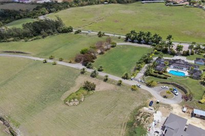 lioncastlepoloestate2920