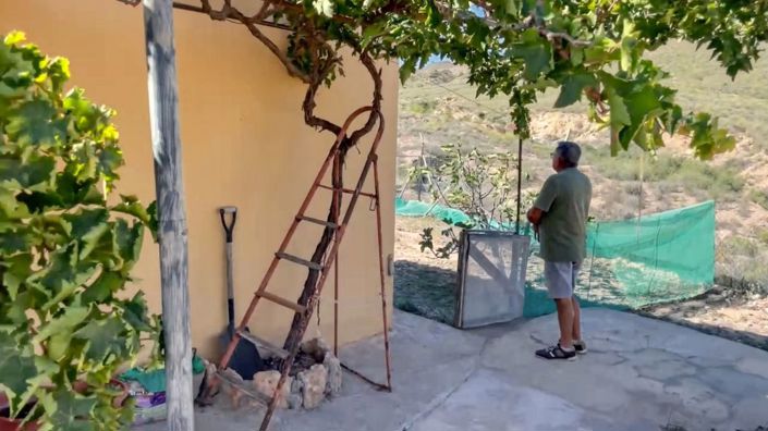 Image No.18-Propriété de pays à vendre à Huercal-Overa