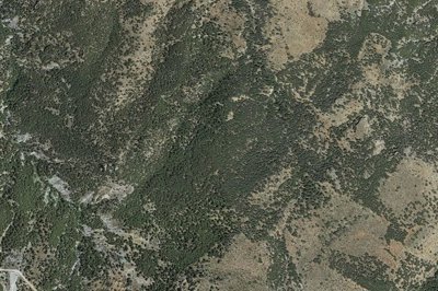 54041416004