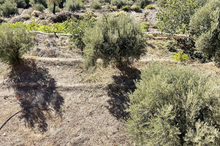 Image No.22-Country Property for sale