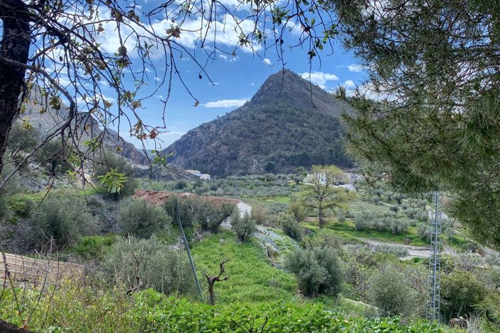 Image No.3-4 Bed Country Property for sale