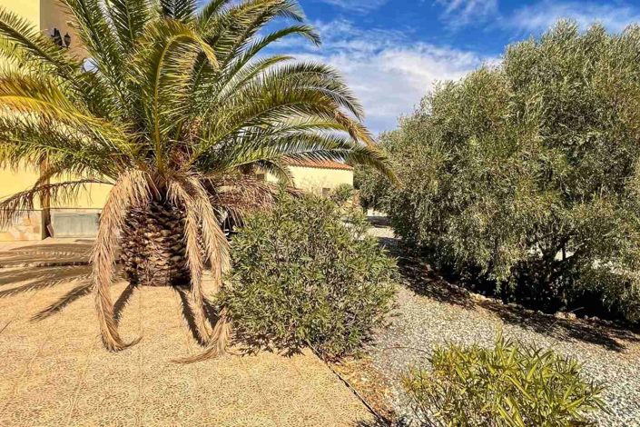 Image No.34-3 Bed Villa for sale