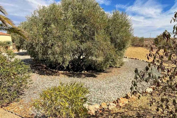 Image No.35-3 Bed Villa for sale