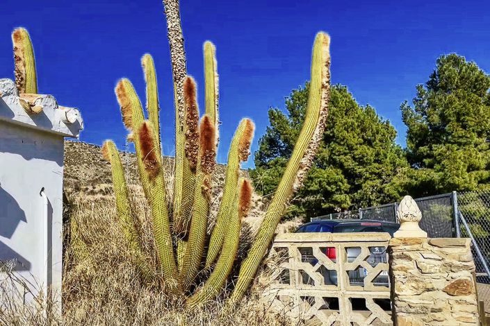 Image No.30-2 Bed Country Property for sale