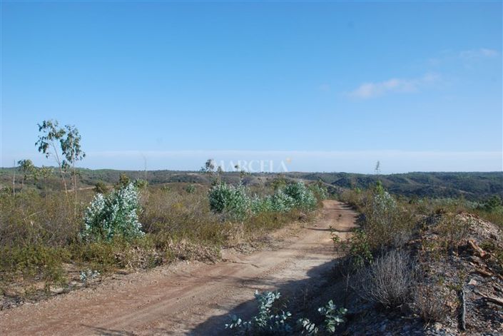 Image No.1-Property for sale