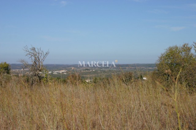 Image No.1-Property for sale