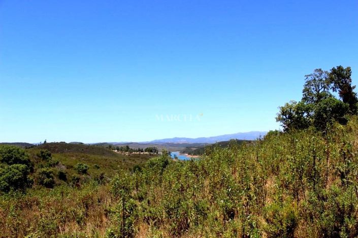 Image No.1-Property for sale
