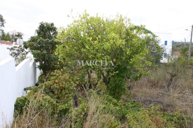 Image No.1-Property for sale