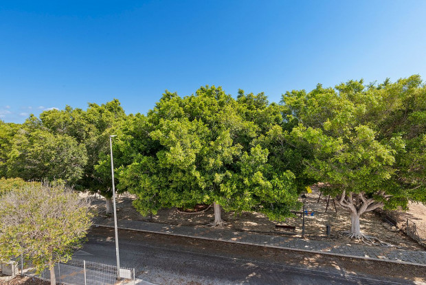 Image No.25-3 Bed Villa for sale