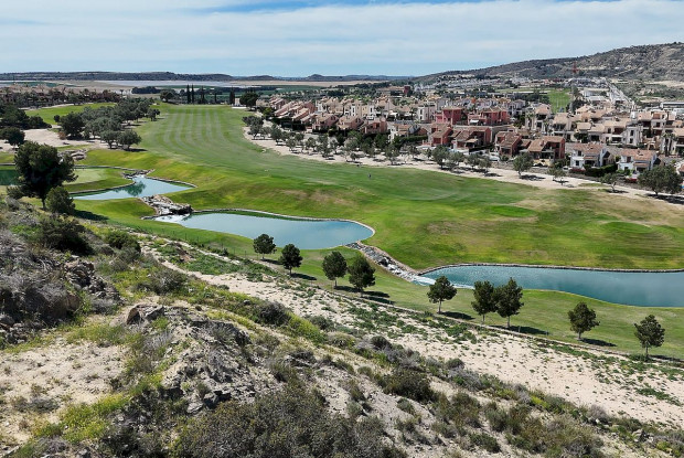 Image No.25-Villa de 3 chambres à vendre à Algorfa