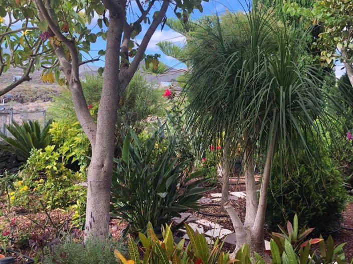 Image No.54-Maison de ville de 4 chambres à vendre à Los Cristianos