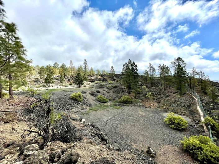 Image No.1-Terre à vendre à Guia de Isora
