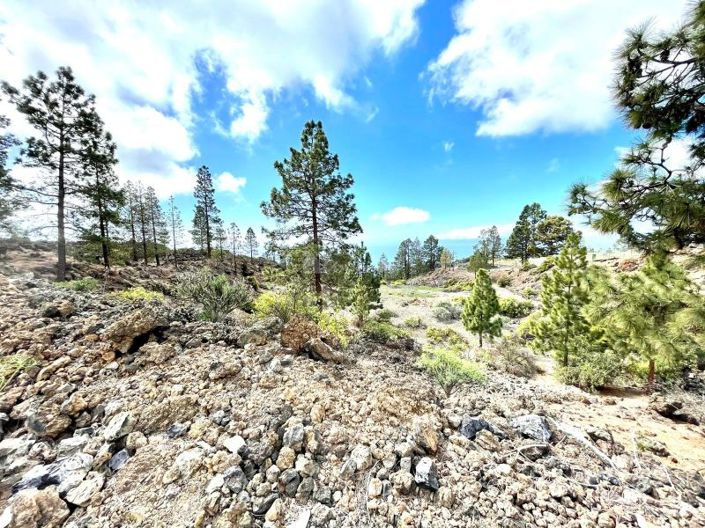 Image No.17-Terre à vendre à Guia de Isora