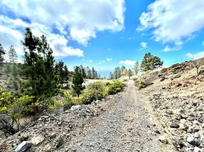 Image No.18-Terre à vendre à Guia de Isora